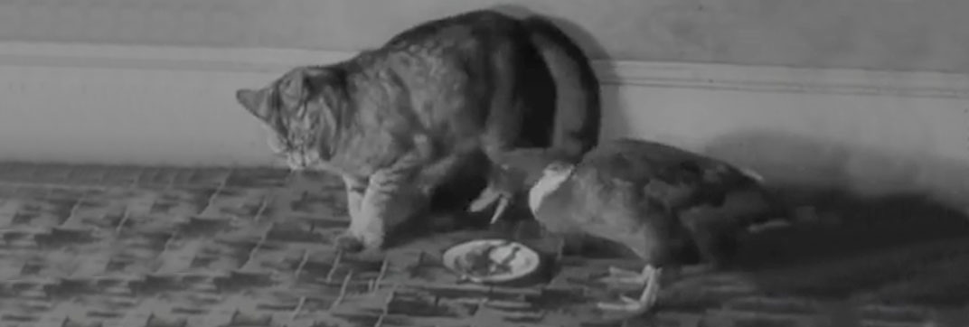 Australia Out for a Duck (1948)