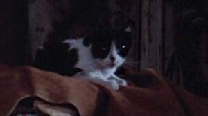 Boulevard Nights (1979)