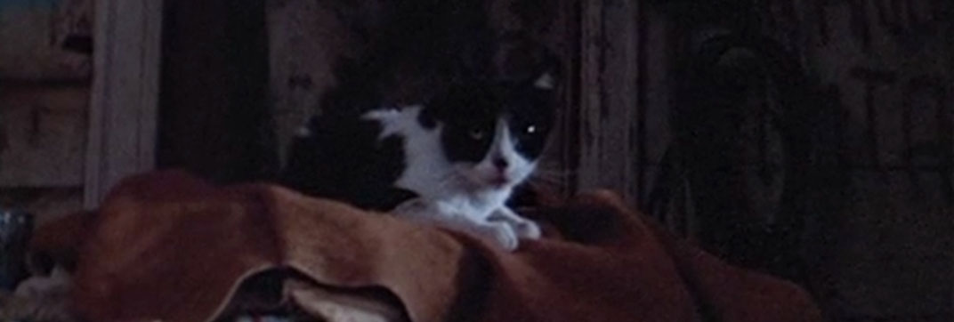 Boulevard Nights (1979)