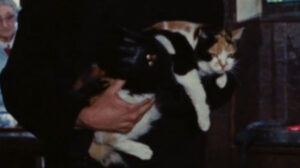 Death Walks on High Heels (1971)