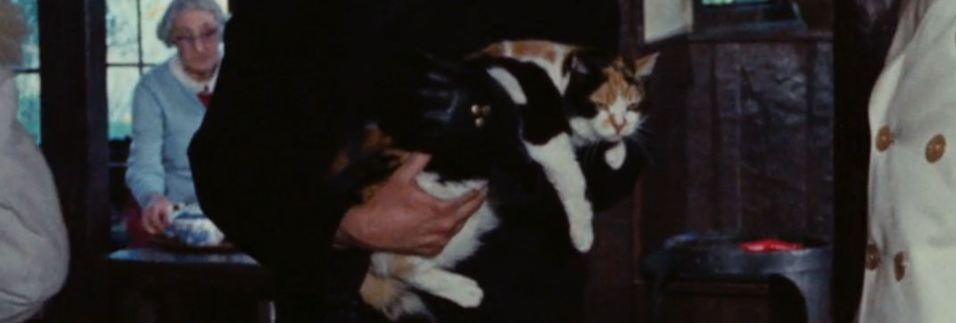 Death Walks on High Heels (1971)