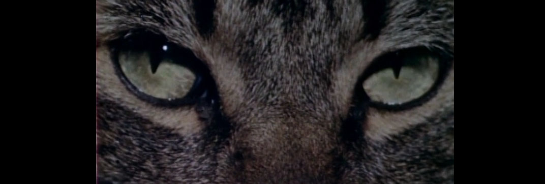 Eve and the Handyman (1961)