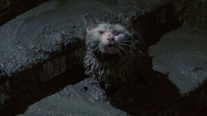 Godzilla vs. Hedorah (1971)