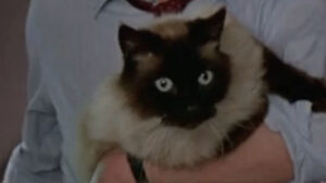 Grievous Bodily Harm (1988)