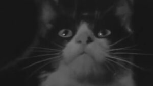 Ring of Terror (1961)