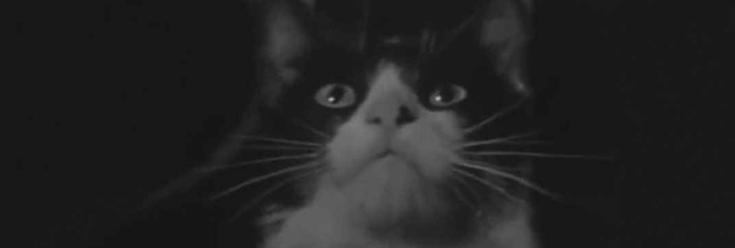 Ring of Terror (1961)