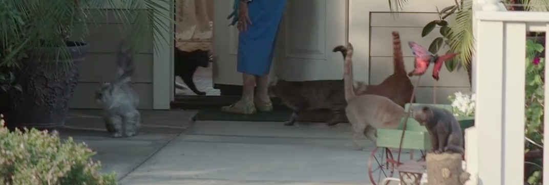 Scouts Guide to the Zombie Apocaylpse (2015)