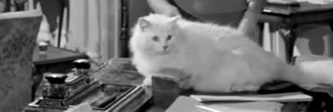 The Spaniard’s Curse (1958)