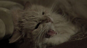 The Thirteenth Floor (1999)