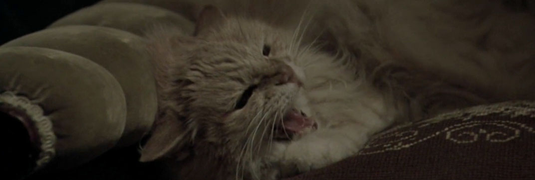 The Thirteenth Floor (1999)