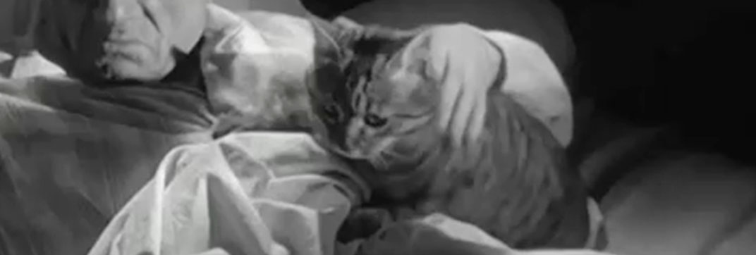 Touchez pas au grisbi (1954)