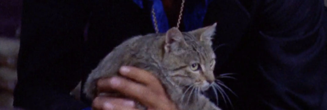 A White Dress for Marialé (1972)