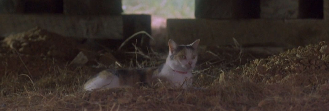 Children of the Corn II: The Final Sacrifice (1992)