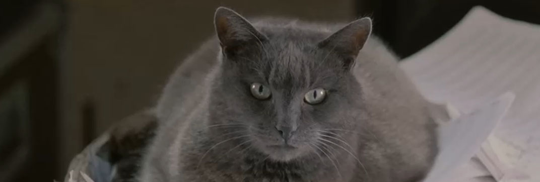 Face the Music (1993)