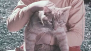 First Aid for Children (1974)