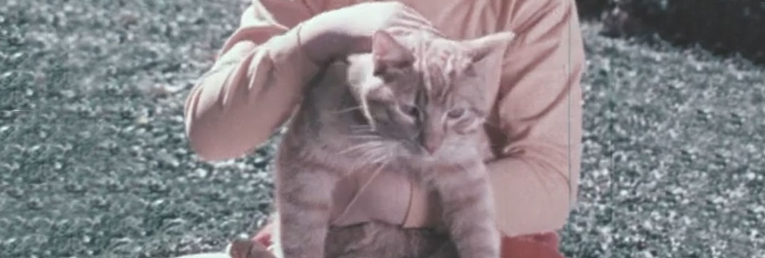 First Aid for Children (1974)