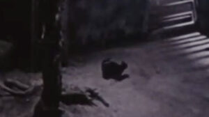 Fruits of Passion (1981)