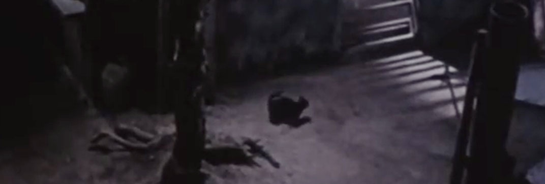 Fruits of Passion (1981)