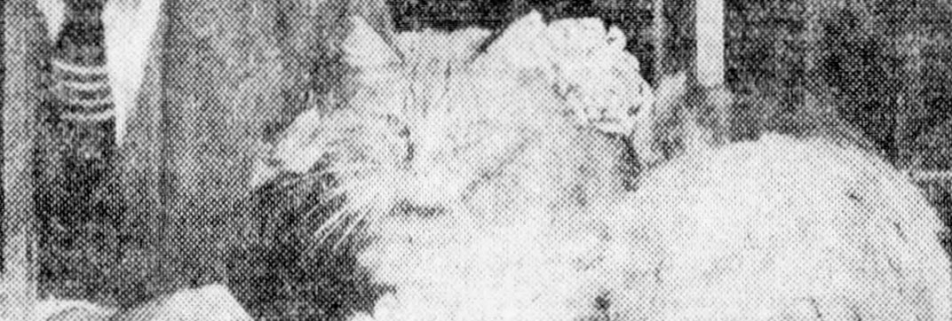 Leo Paxton, Taking it to the Bank