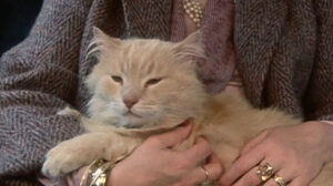 Police Academy (1984)