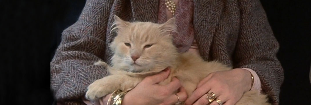 Police Academy (1984)