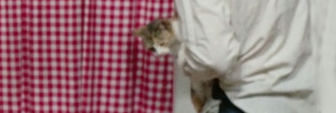 The Police Are Blundering in the Dark (1975)