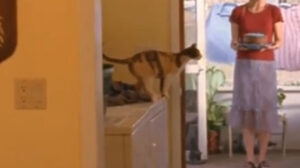 River’s End (2005)