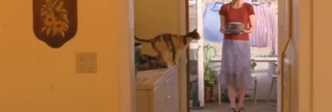 River’s End (2005)