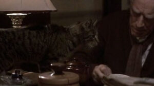 Snow Falling on Cedars (1999)