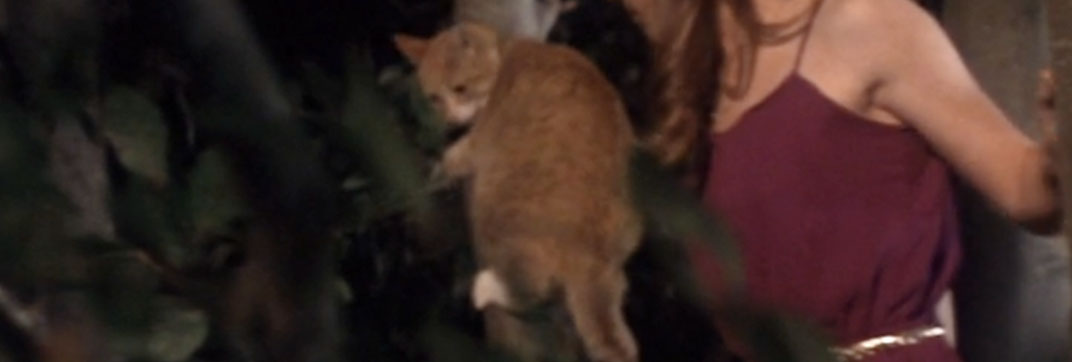 Strange Behavior (1981)