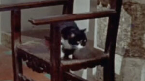 Swordsman of Siena (1962)