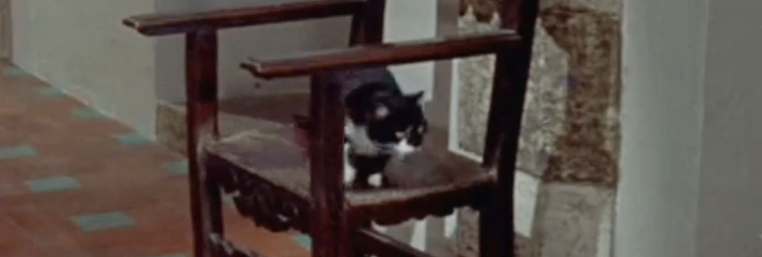 Swordsman of Siena (1962)