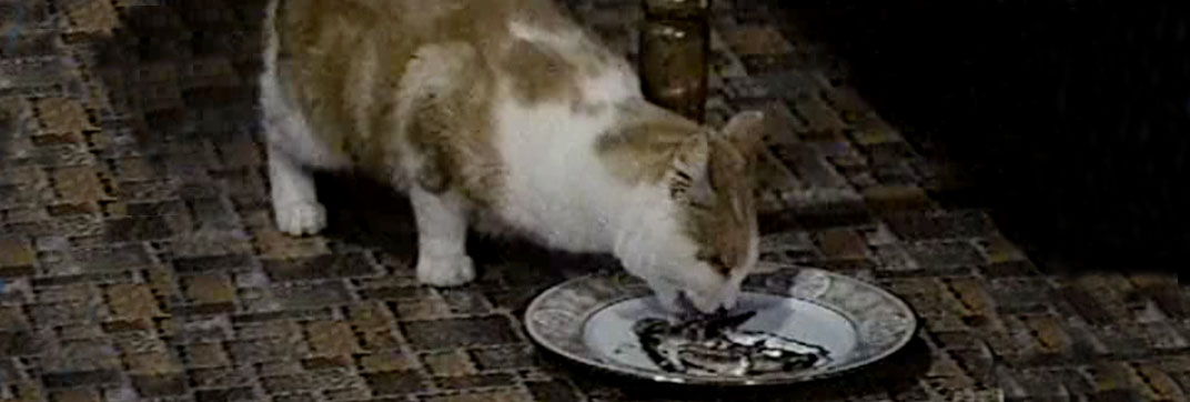 Eischied – “Do They Really Have to Die?”