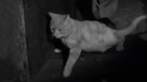 Francis in the Haunted House (1956)