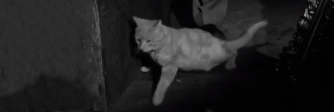 Francis in the Haunted House (1956)