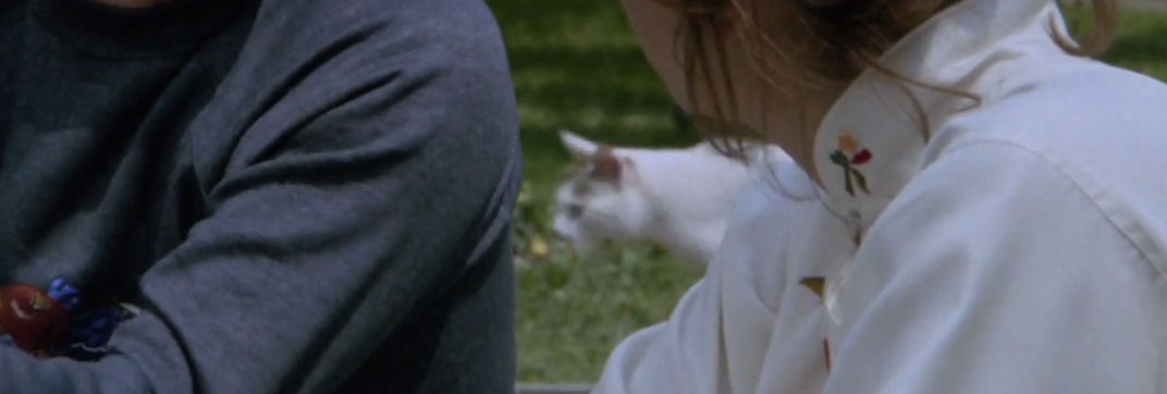 Il gatto dagli occhi di giada (1977)