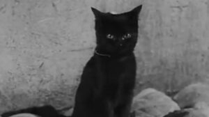 Der Kleine Muck (1944)