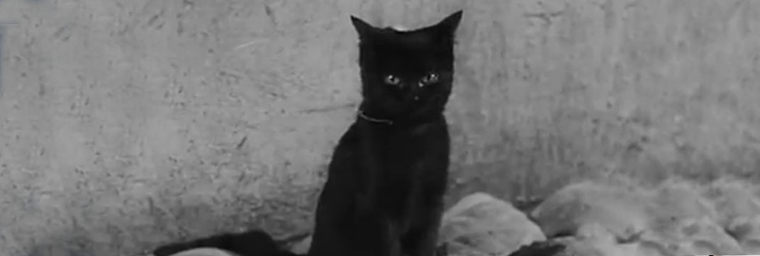 Der Kleine Muck (1944)