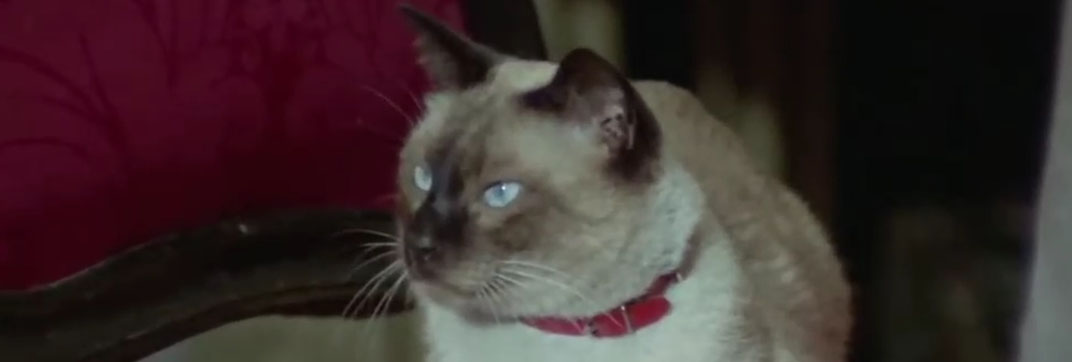 Il Lungo, il corto, il gatto (1967)