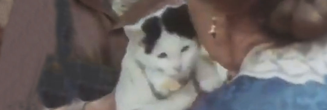 The Magical World of Disney – “The Adventures of Pollyanna”