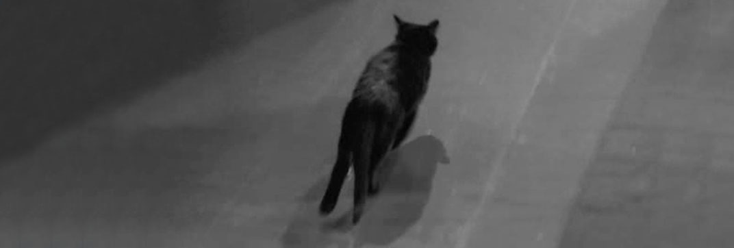 Make Mine a Million (1959)