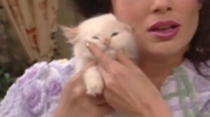 The Nanny – “Fran’s Gotta Have It”