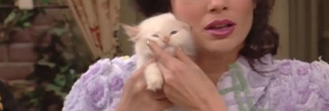 The Nanny – “Fran’s Gotta Have It”