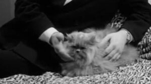 Part-Time Wife (1962)