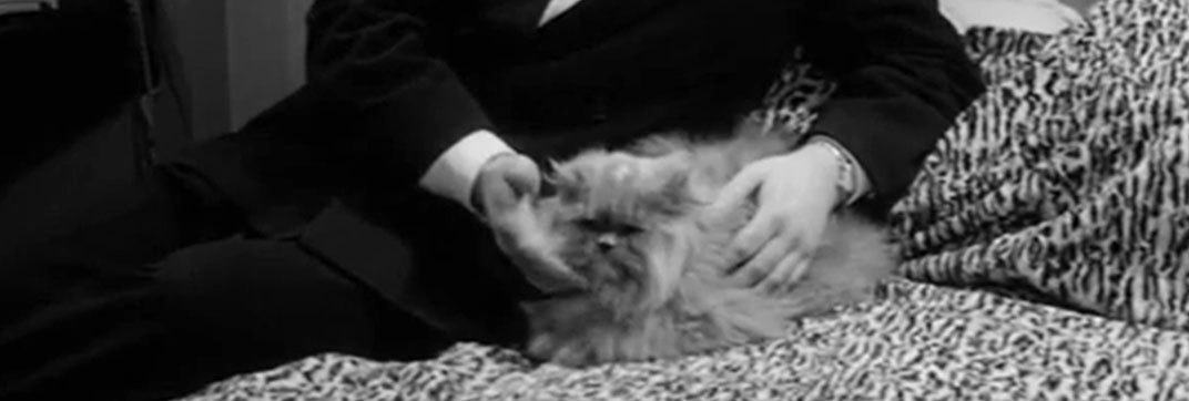 Part-Time Wife (1962)