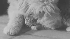 School Children Help the Blind (1937)