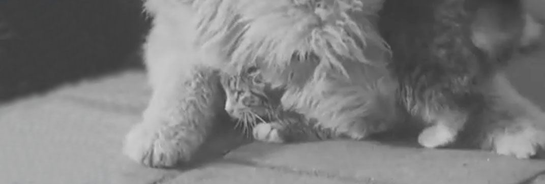 School Children Help the Blind (1937)