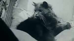 The Soul of Youth (1920)