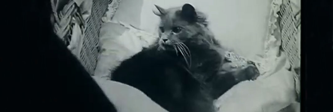 The Soul of Youth (1920)