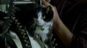 The Story of Marie and Julien (2003)